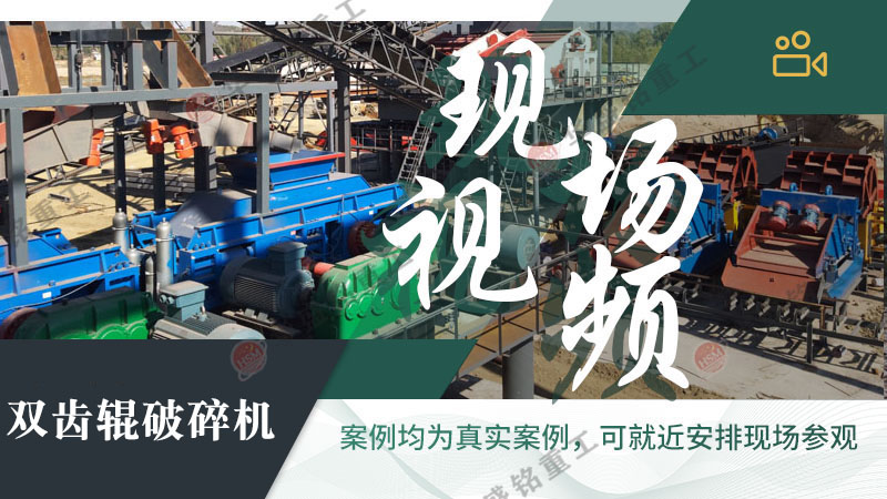 雙齒輥破碎機 雙齒輥破碎機
